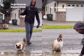 cat owner jump puddle