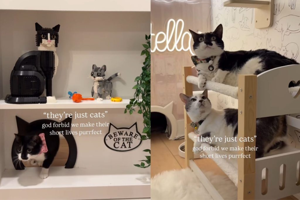 Video of cats’ hidden bedroom.