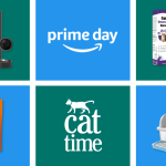 Amazon Prime Day Sale Cattime