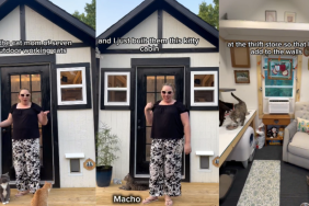 working cats cabin video