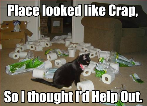 Funny Cat Memes Grab Bag Edition #12