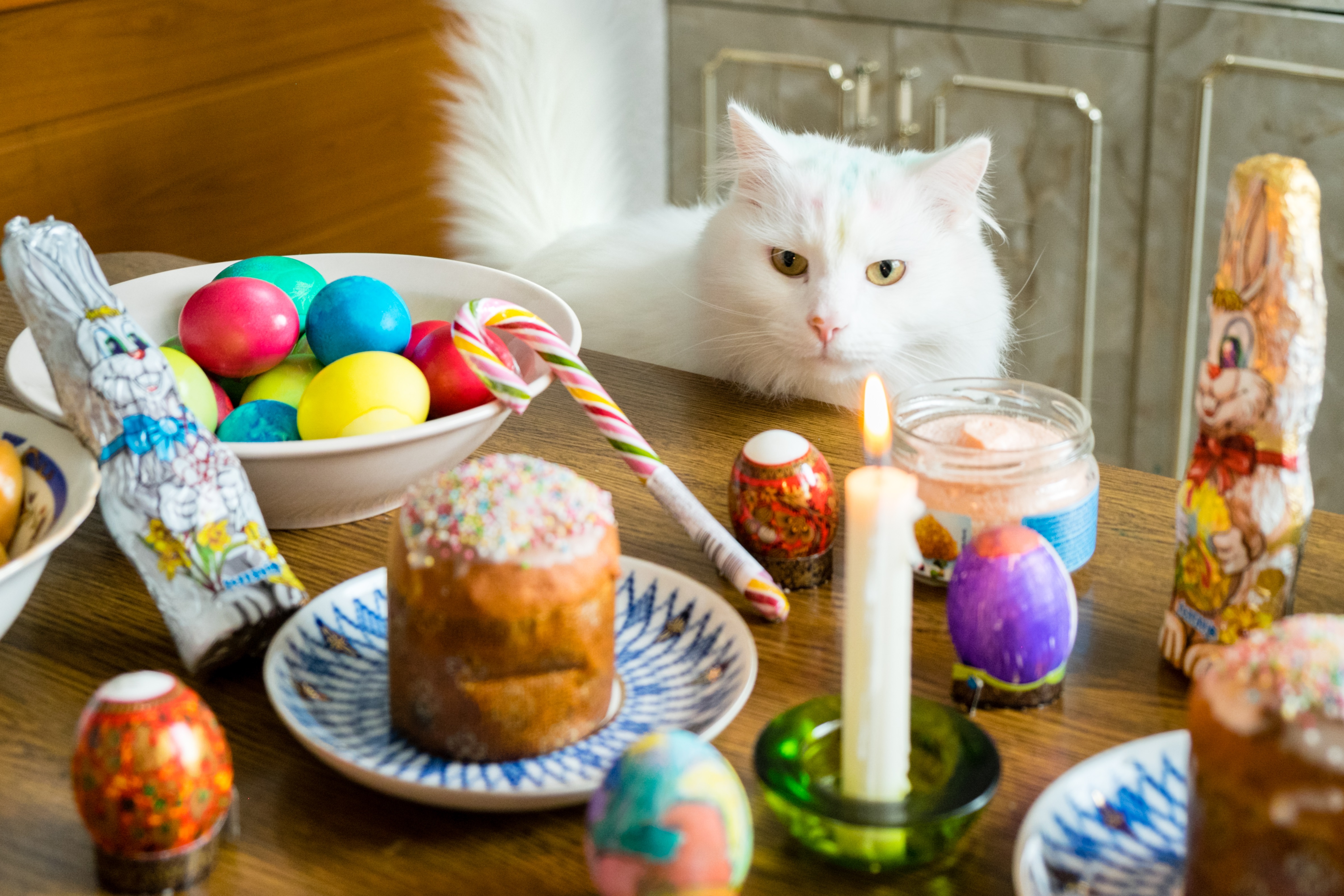 Easter Cat And Kitten Pictures