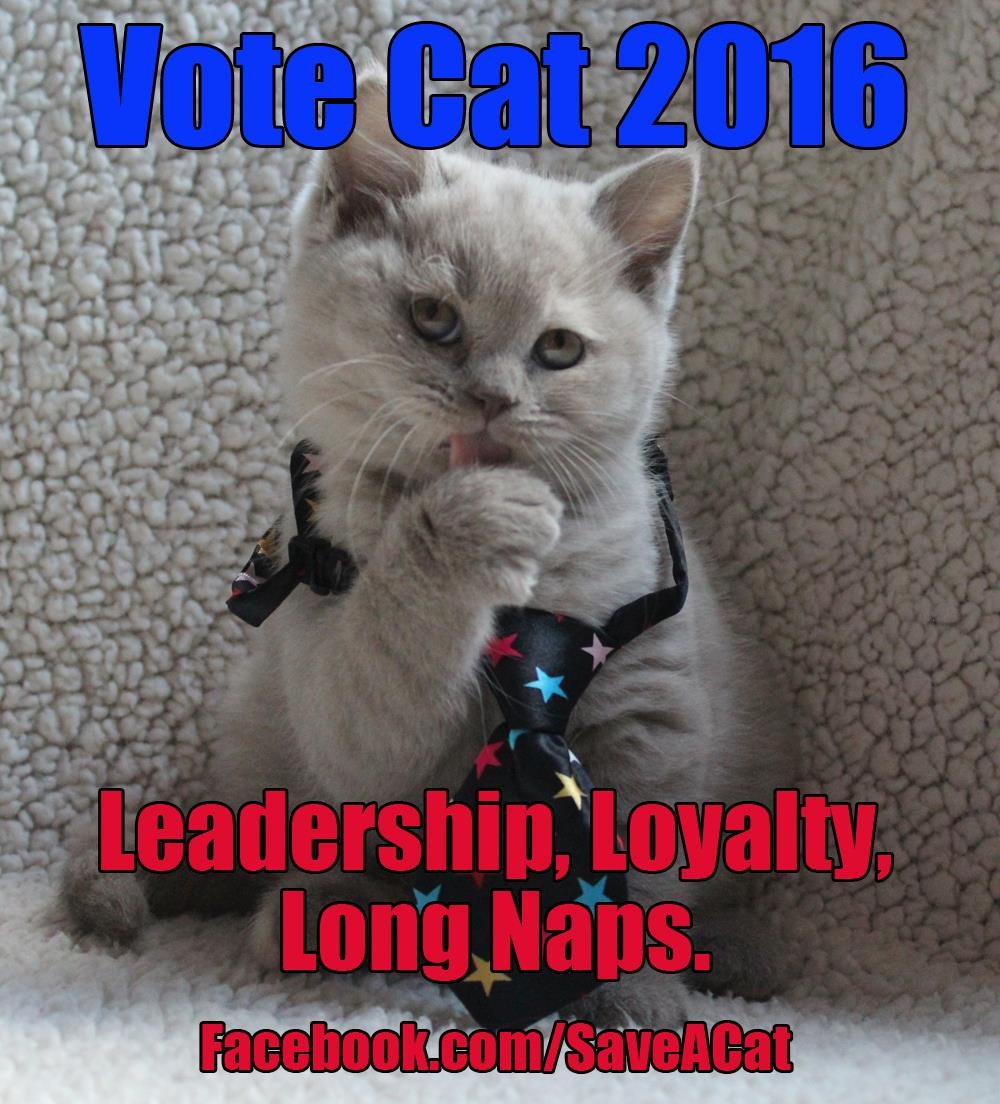 Vote Cat