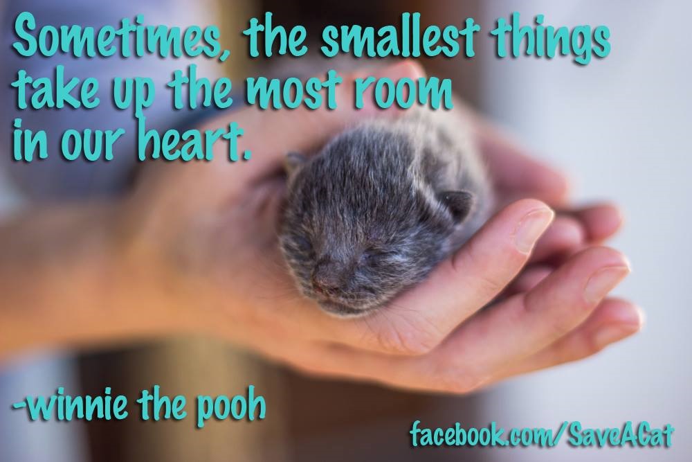 The Smallest Things