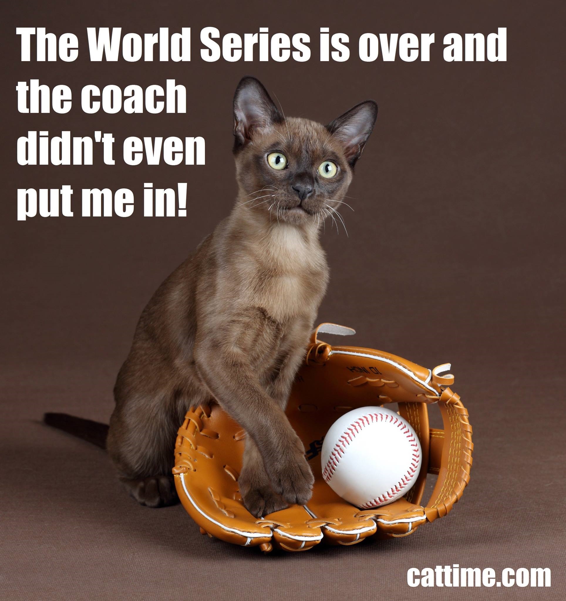 World Series