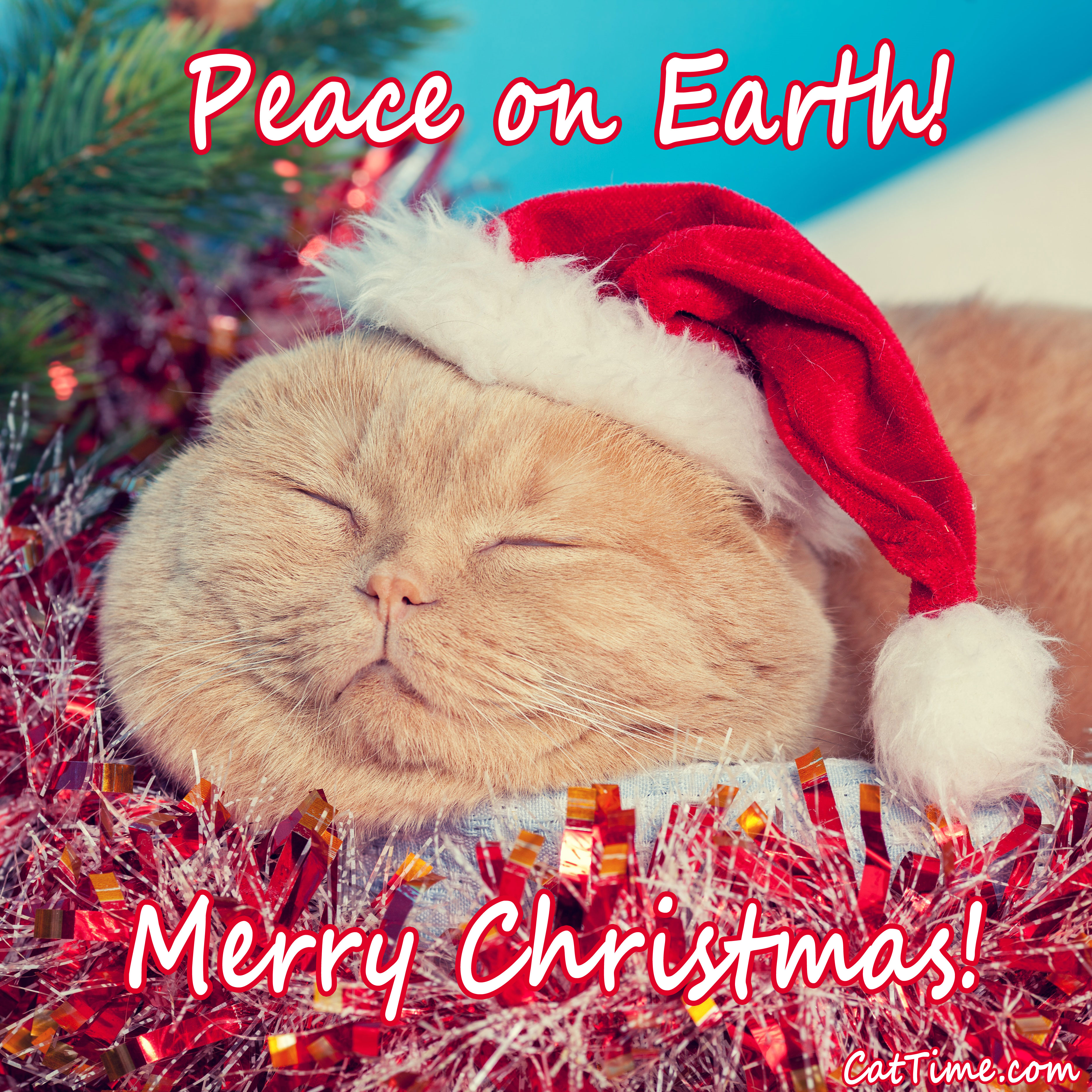 Peace On Earth