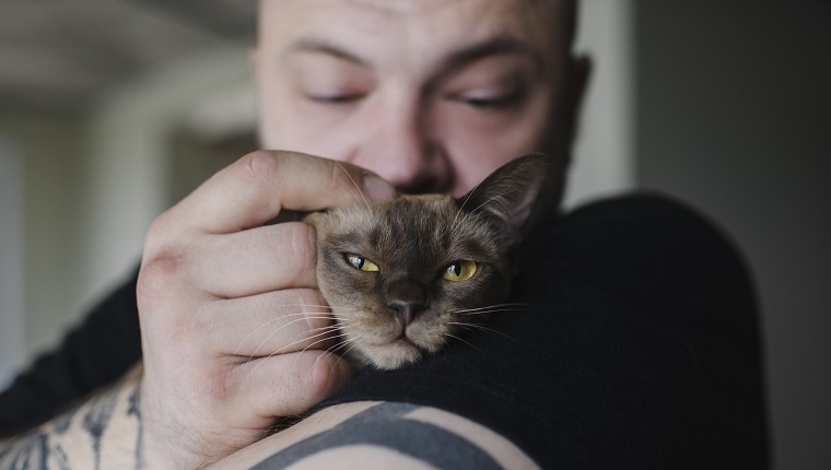 Burmese Cats