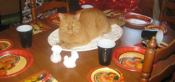 I'll Keep This Platter Warm Till The Turkey Is Done