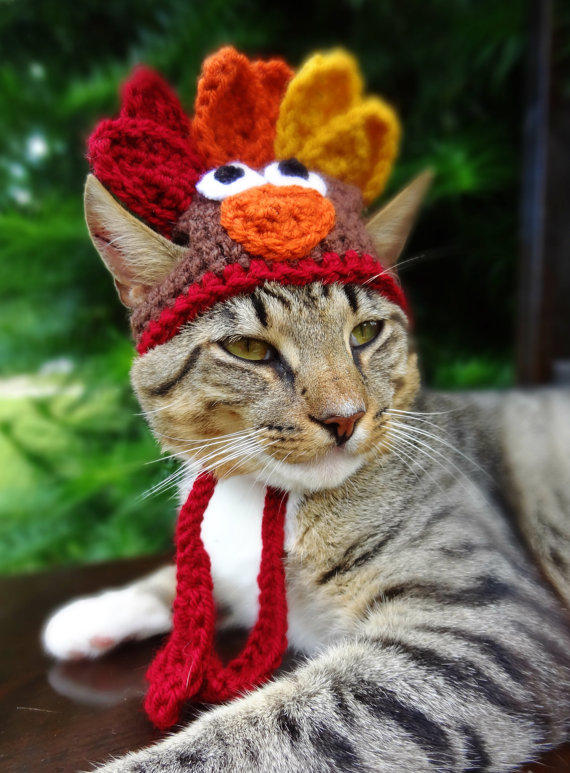 Crafty Kitty Loves Her Turkey Hat