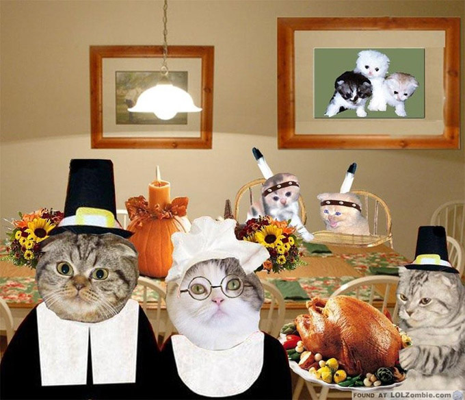 Pilgrim Kitties Ready To Eat