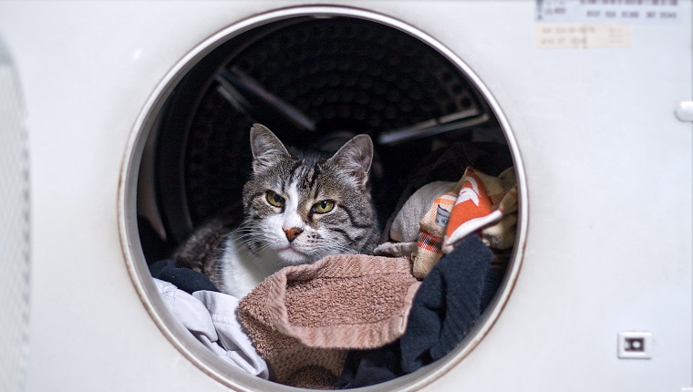 Finishing Up Laundry