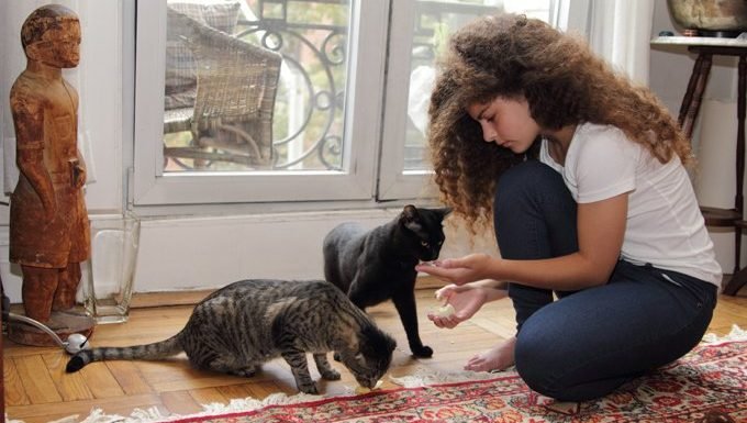 Your Cat Greets Your Pet Sitter The Moment They Walk In