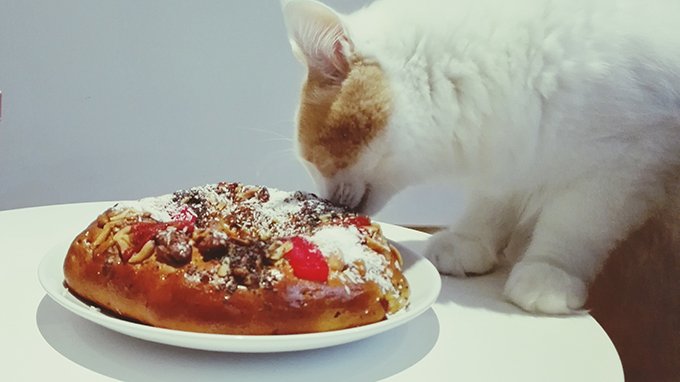 Your Cat Checks The Food For Poison While You're Distracted Being A Host