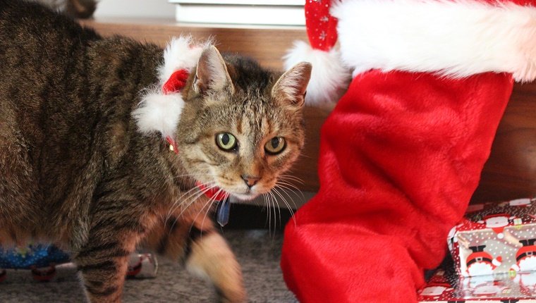 Refusing To Take Out All The Great Toys In The Stocking Until Christmas